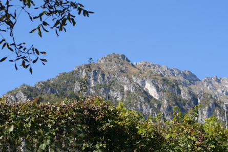 Panorama delle Prealpi Feltrine che circondano Lasen - Foto di Stefano De Carli